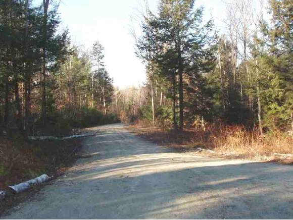 Timberlanding is a fully permitted and shovel...