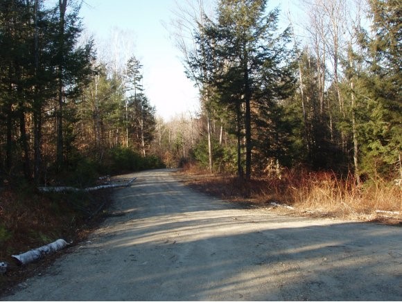 Timberlanding is a fully permitted and shovel...