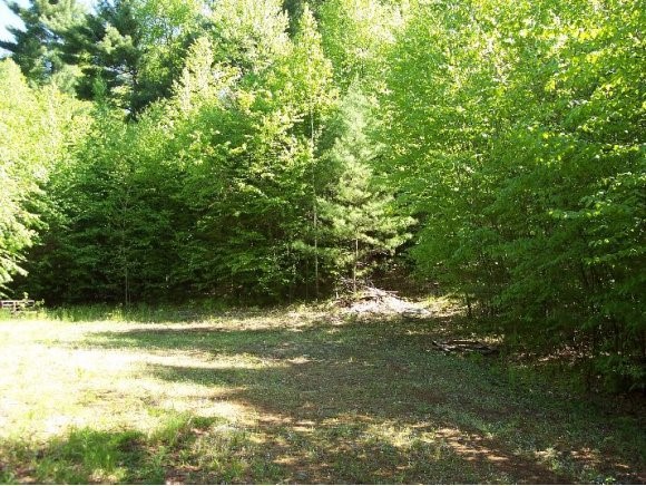 Lot has been designed for in-ground septic...