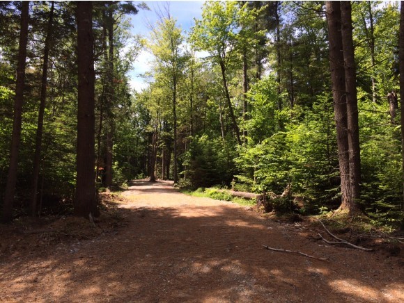 Great Potential! This gorgeous 10+ acre lot in...