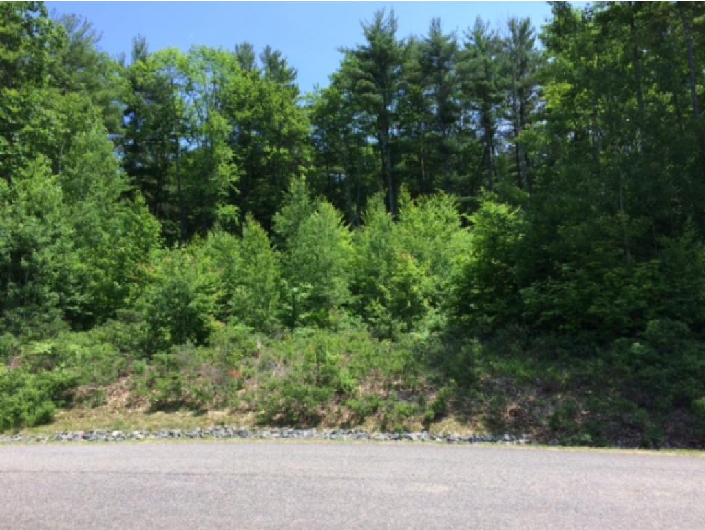 Laconia NH waterfront home for sale