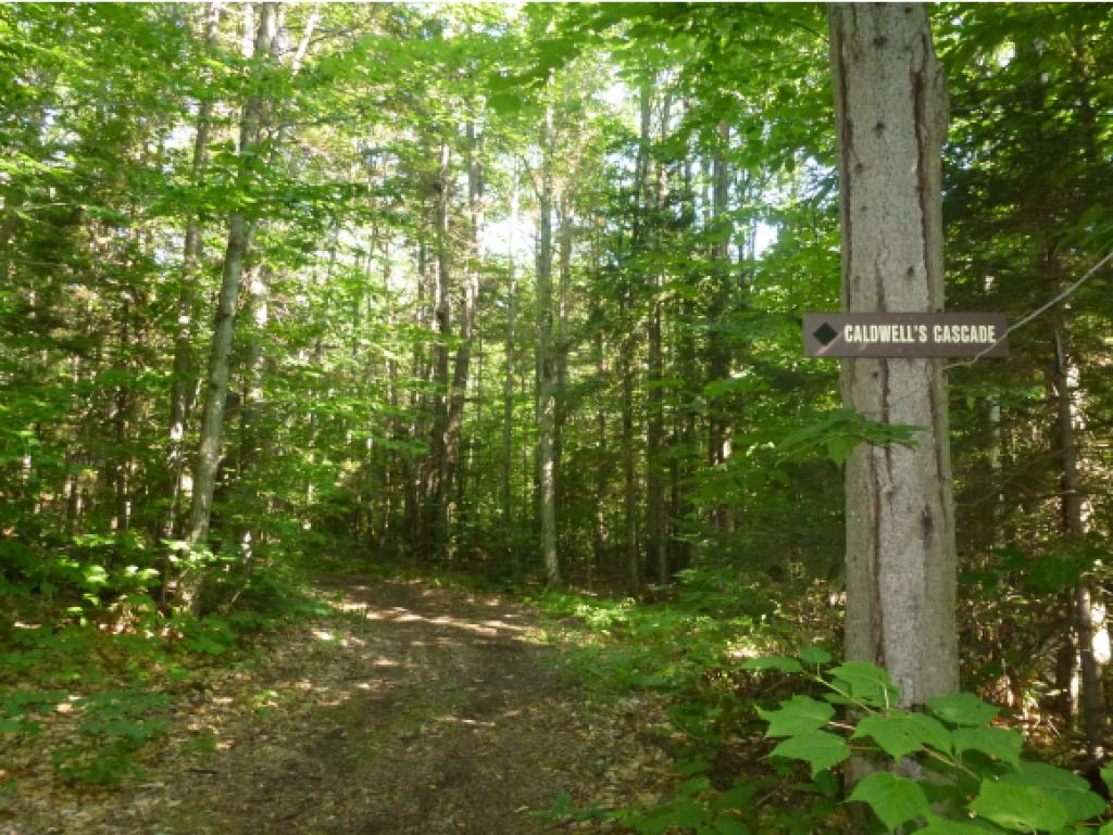 Remarkable opportunity! Land close to the Sun...