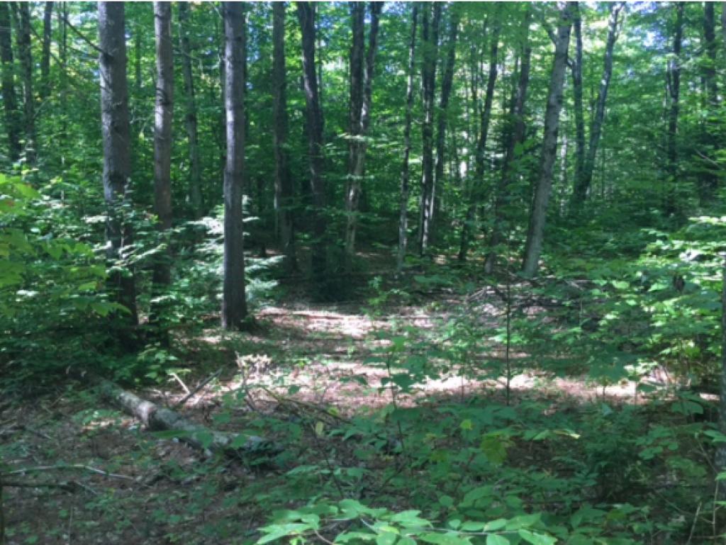 Build your own VT dream home on 6 quiet acres in...