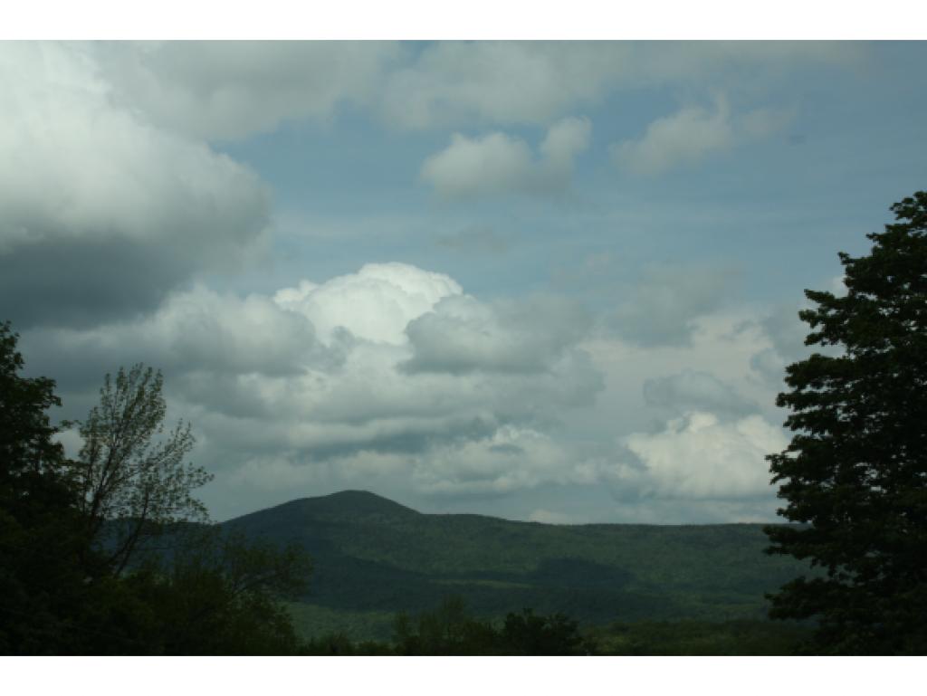 Wooded ten acre site with mature pine and maple....