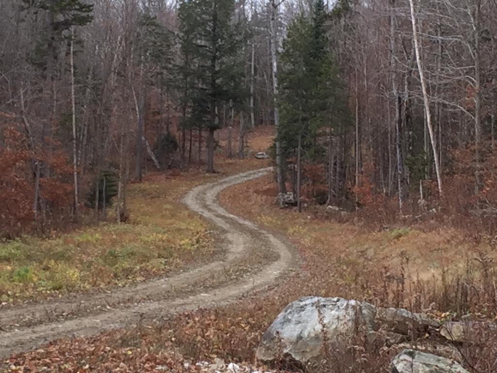 Snowmobile enthusiasts! This is your dream lot. ...