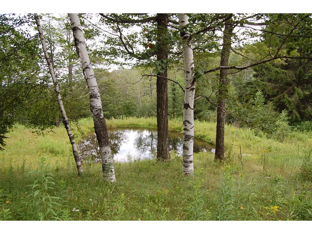 This highly desirable large 2.6 acre home site is...