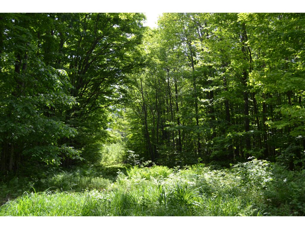 PRICE REDUCTION: This EXCEPTIONAL 21 ACRE...