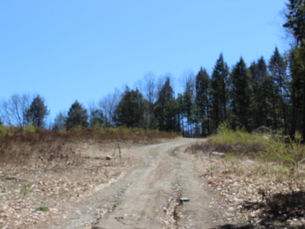 Wow! Already cleared for views and potential open...