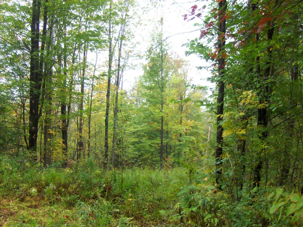 Two parcels available... this 21 acres for...
