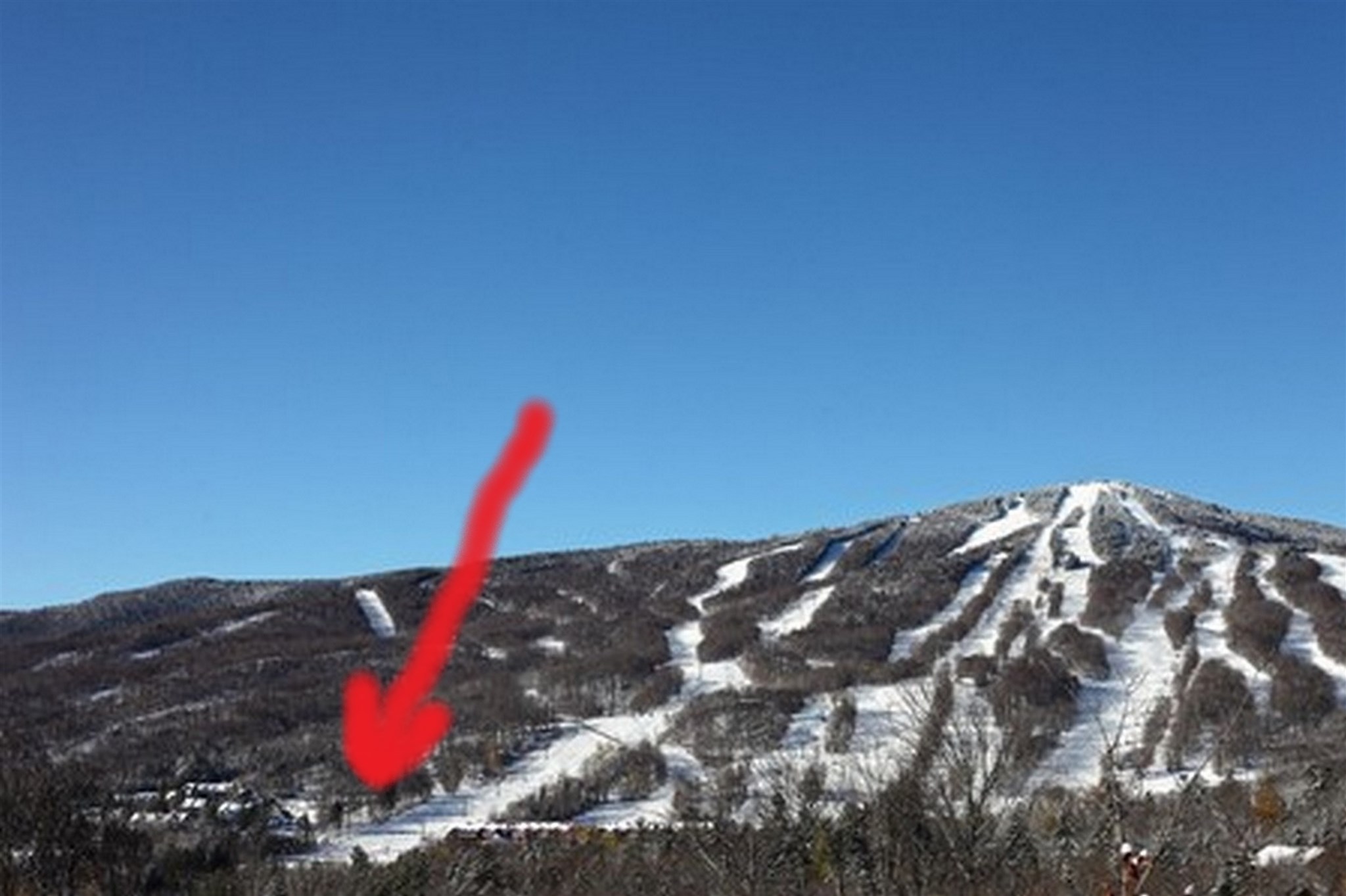 Trail-side location on Mount Snow. This is part...