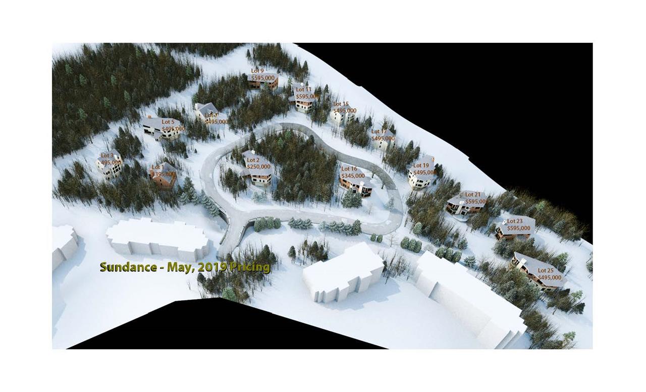 Trail-side location on Mount Snow. This is part...