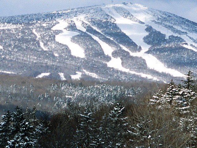Trail-side location on Mount Snow. This is part...