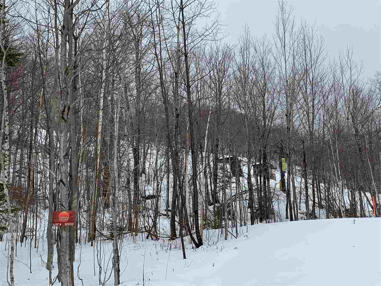 Trail-side location on Mount Snow. This is part...