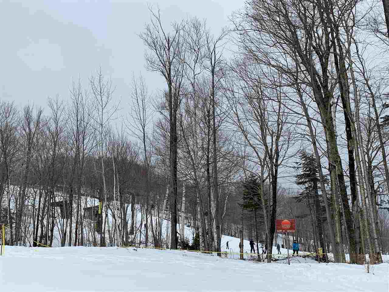 Trail-side location on Mount Snow. This is part...