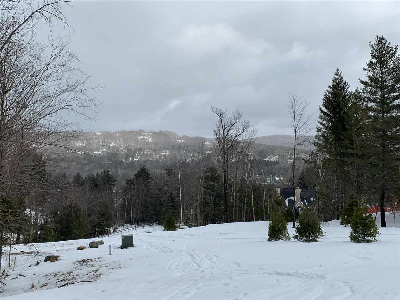 Trail-side location on Mount Snow. This is part...