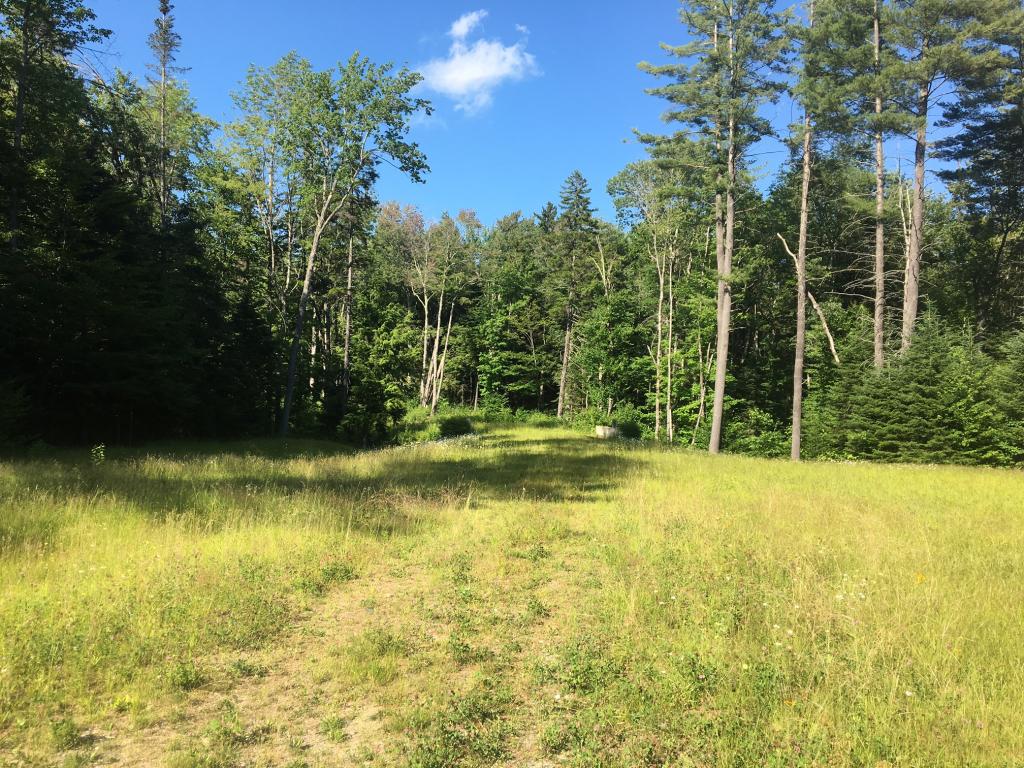 Conveniently located between Stratton & Mt. Snow....