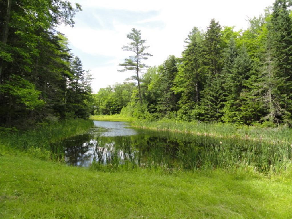 Pond Location Lot E5A at Loon Circle in Powder...