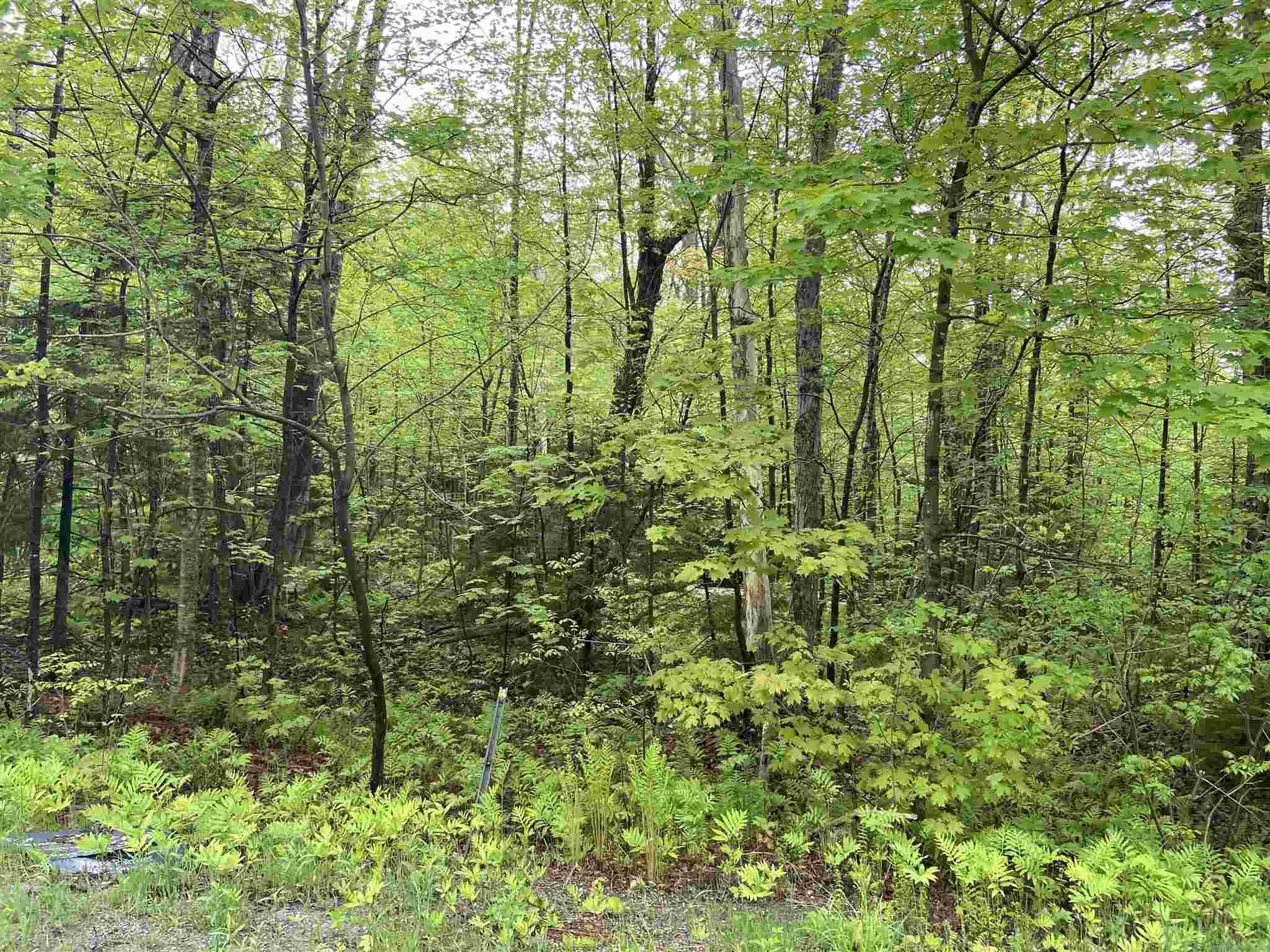 Good building lot but needs state permit for...