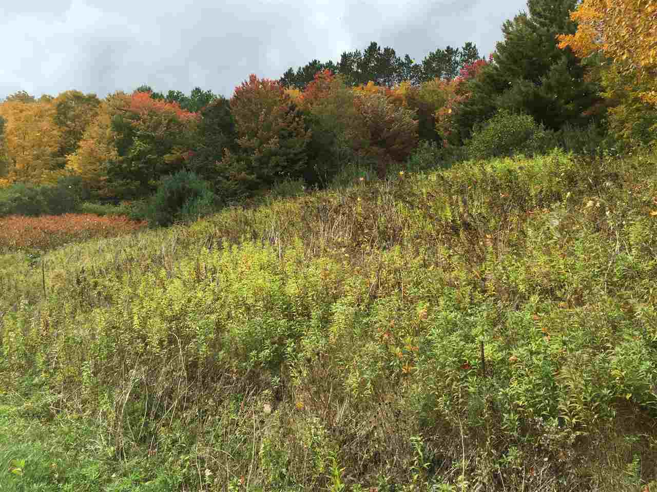 Sunny Route 100 house site with a septic plan...