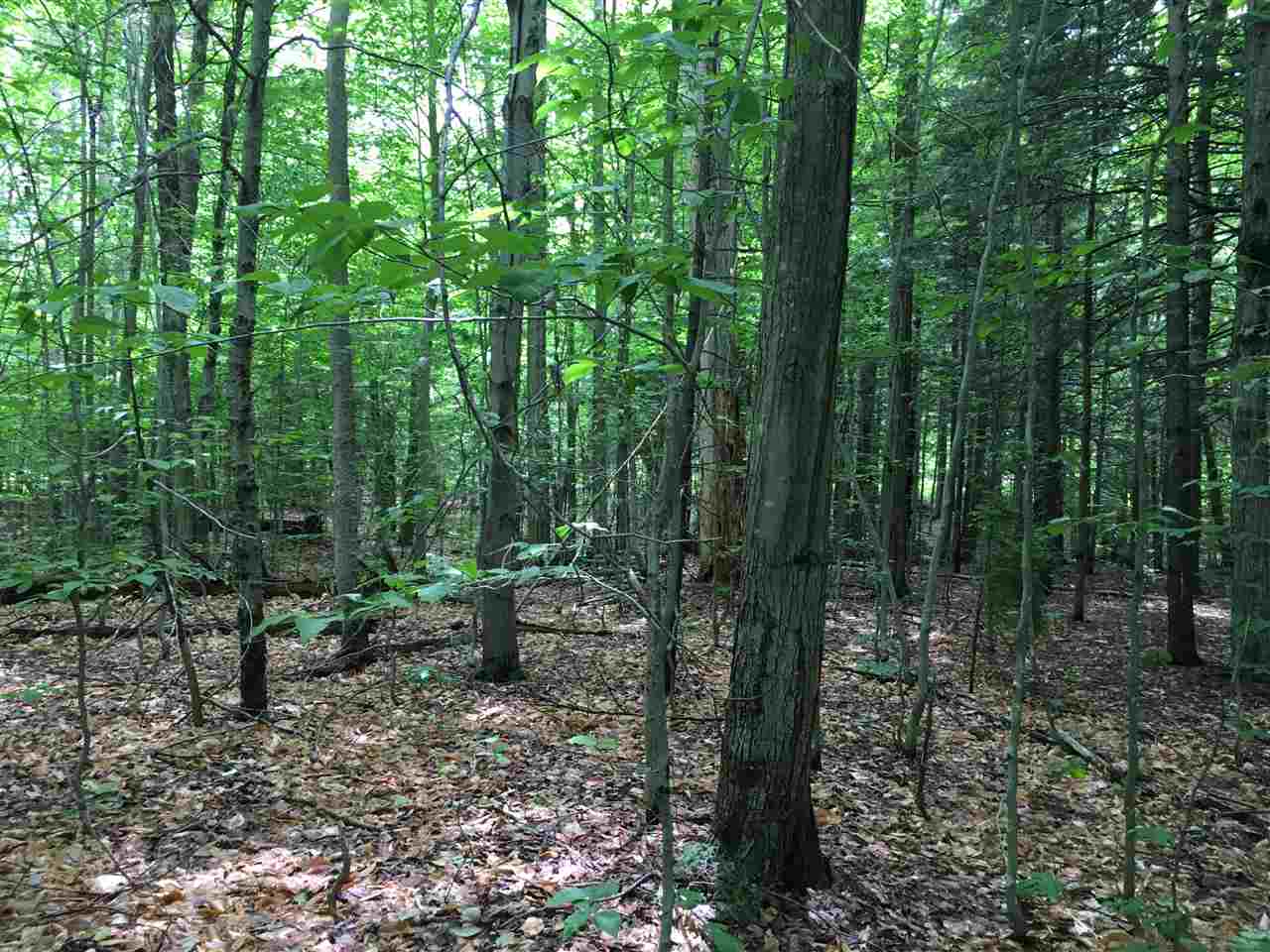 Pretty parcel located in a great area near...