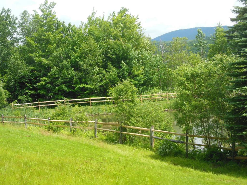 Trail-side location on Mount Snow. This is part...