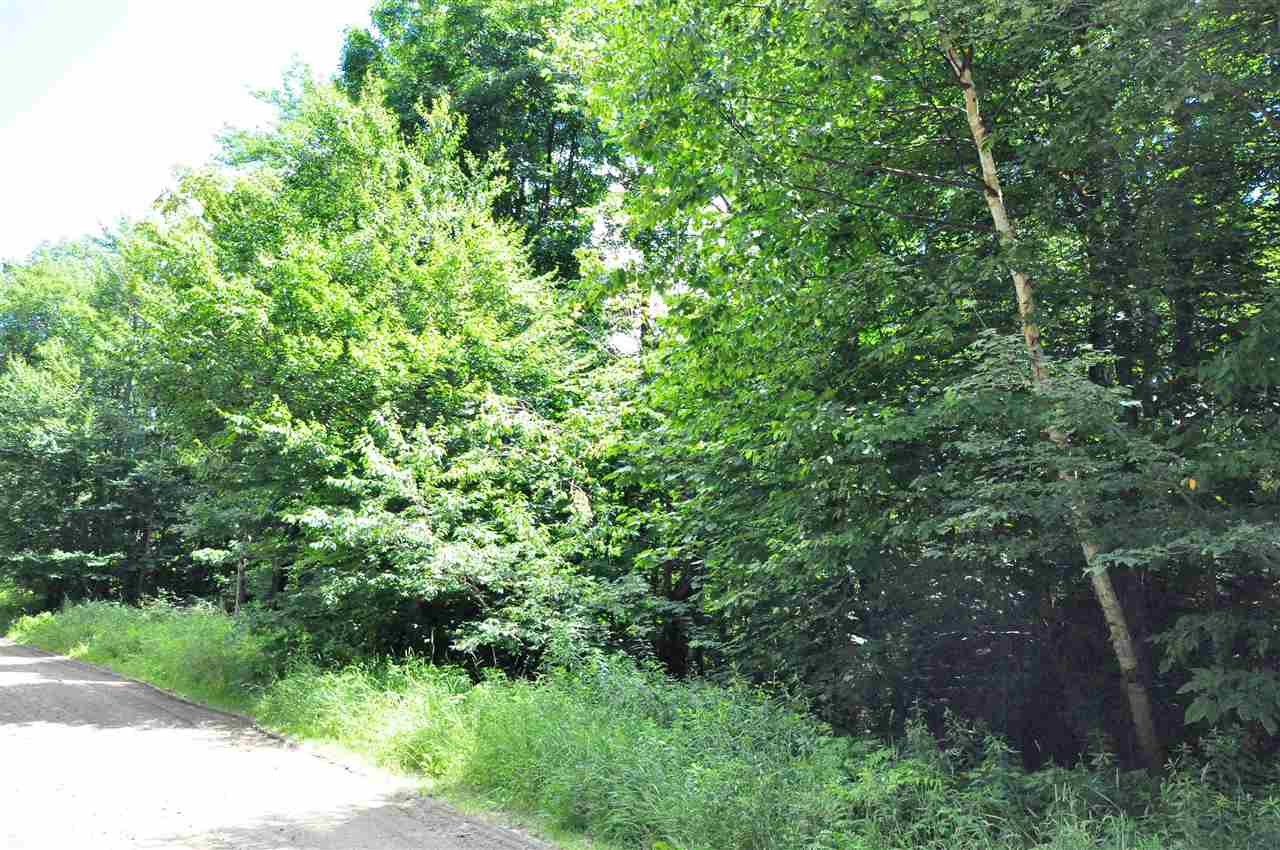 Nice building lot near the Dover Elementary...