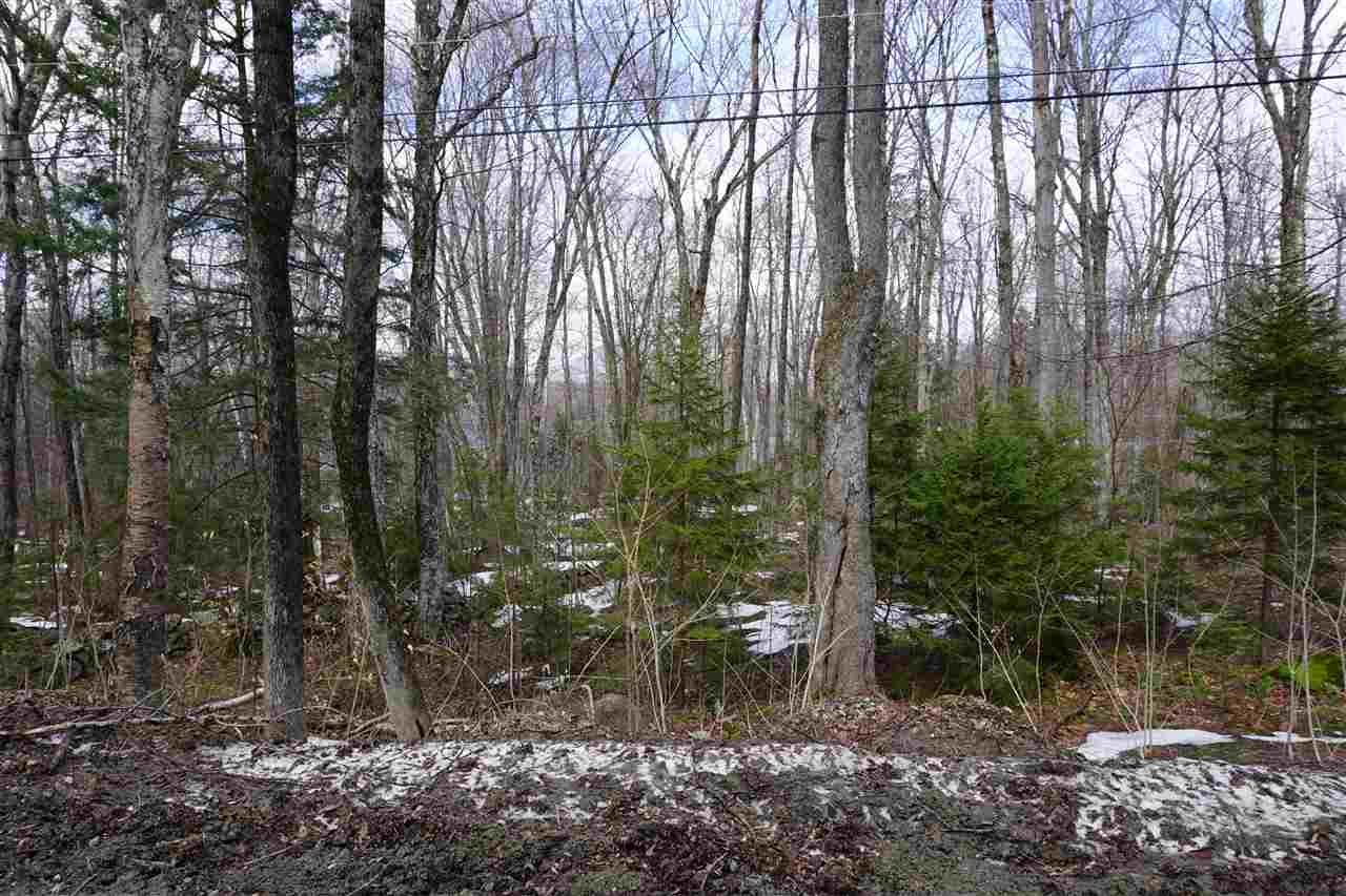 Picture your Vermont dream home on a lovely 1.10...