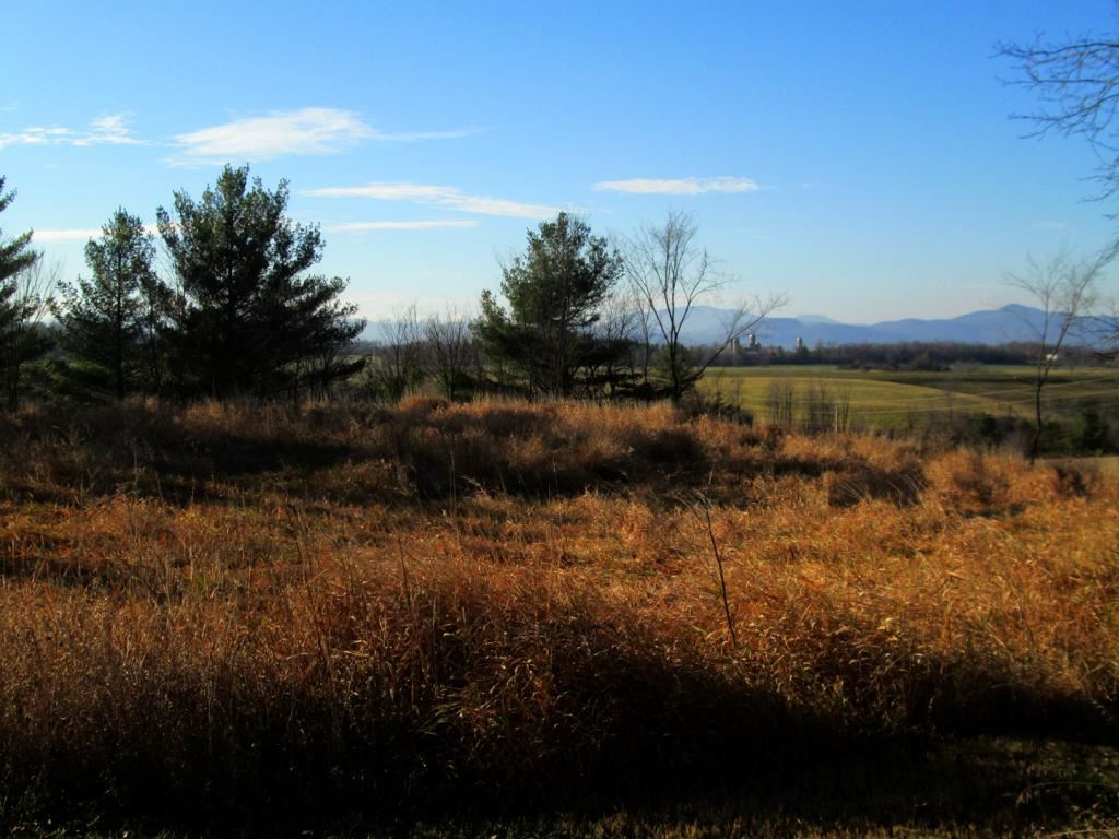 Homes for Sale in Ludlow VT by Kelley Real Estate