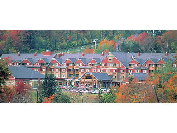 Real Estate in Dover VT