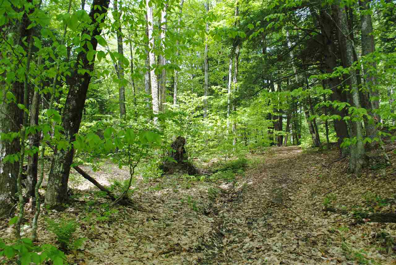 Beautiful and completely private land bordered by...