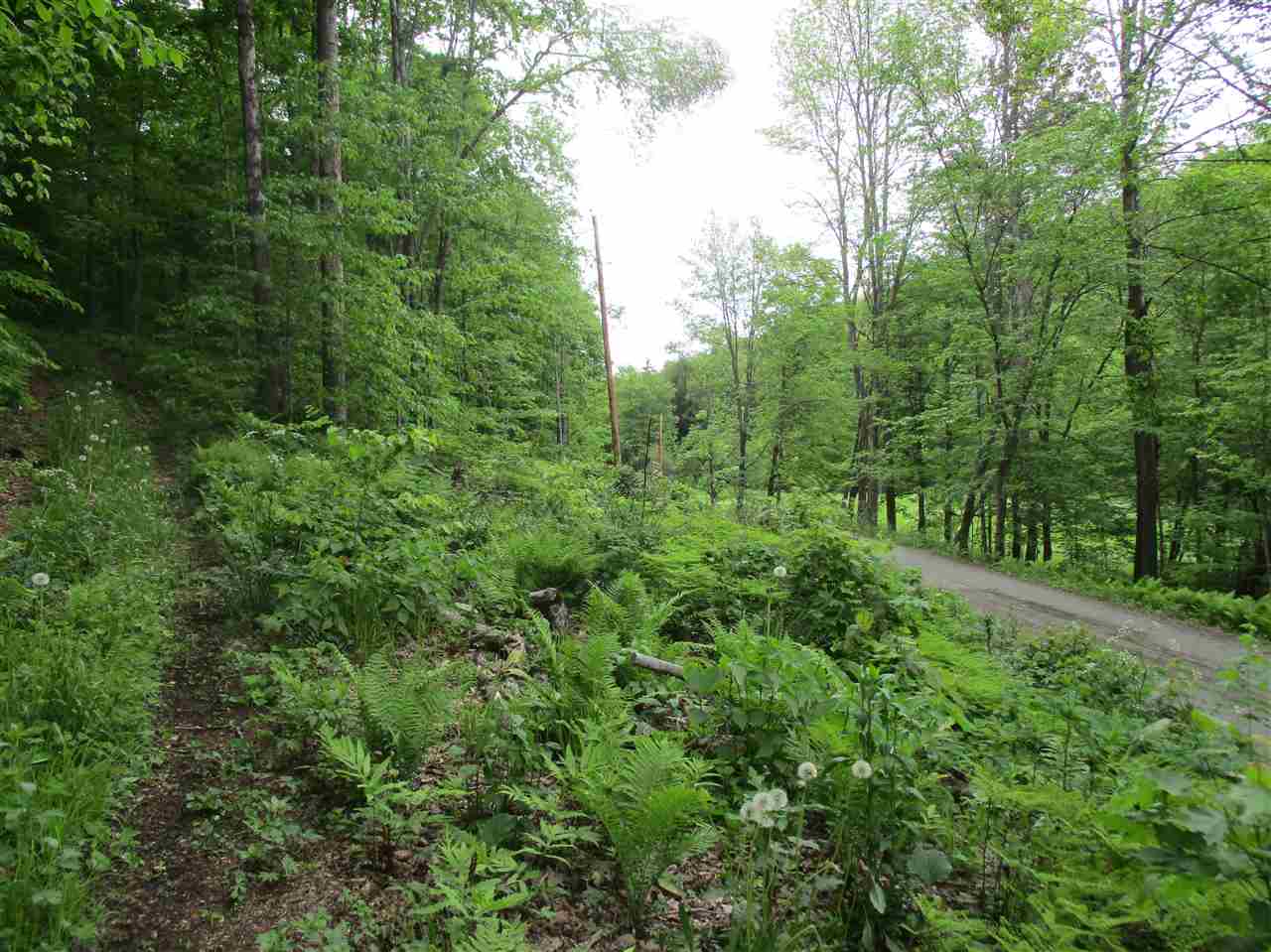 Rural Vermont Real Estate Serving Randolph and Central VT