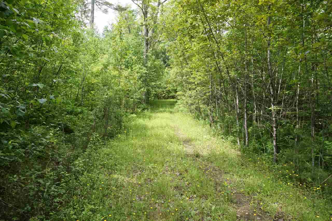 Norwich VT 71.5 acres of Land for sale