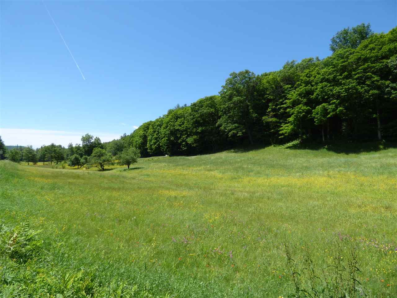 Lovely building lot just outside Grafton Village....