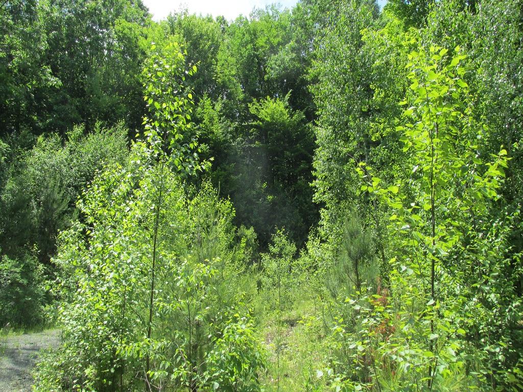 Hartland VT Land for sale
