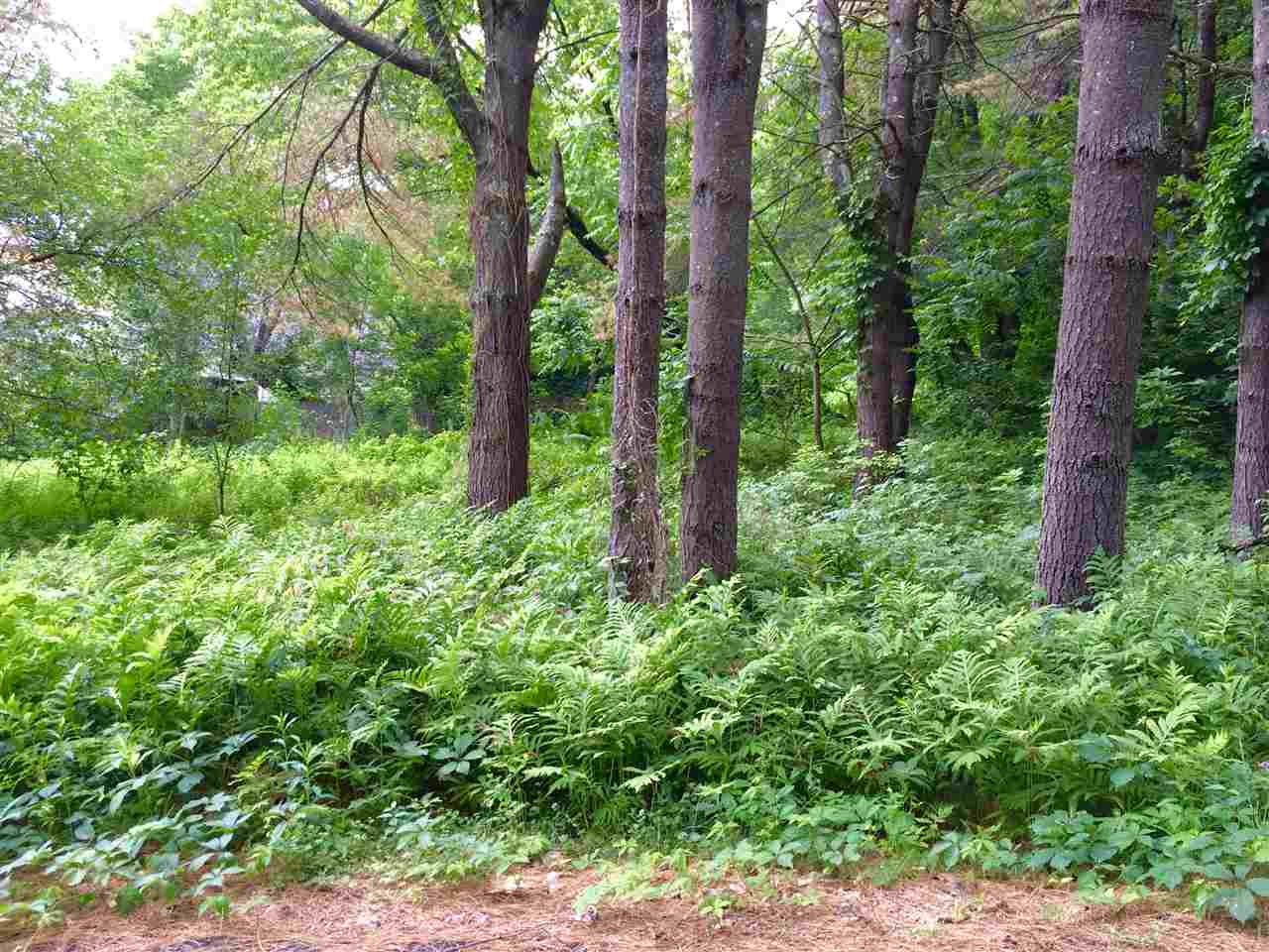 Woodstock VT Land for sale