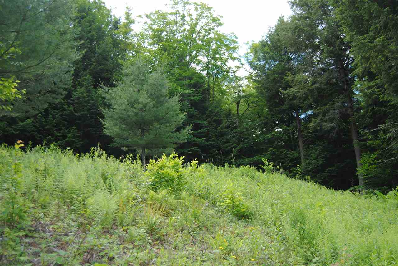 Woodstock VT Land for sale