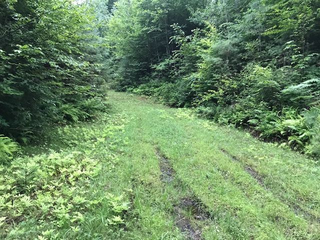 22.53 acre lot on West Windham Road. Very close...