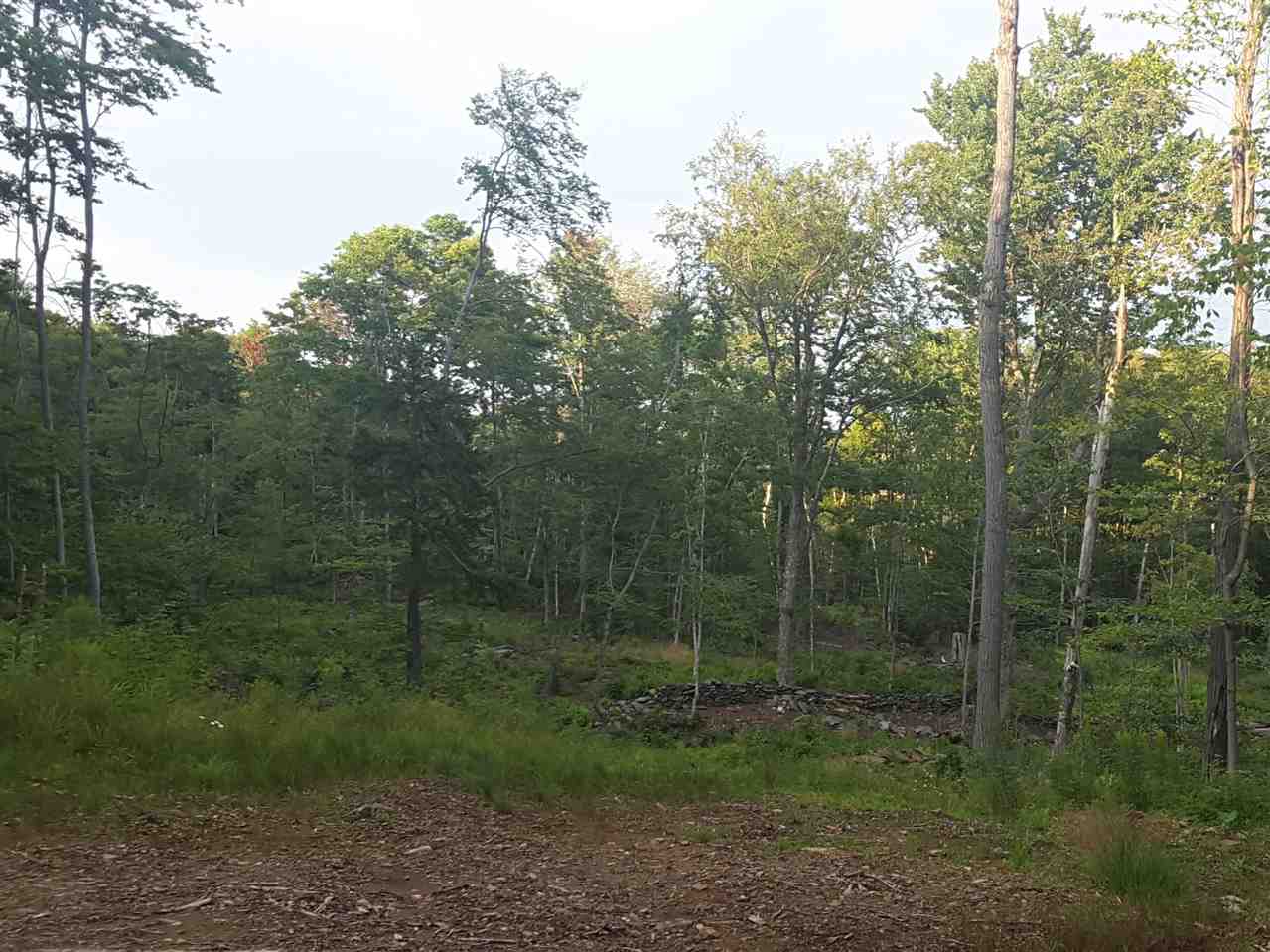 Gentle sloping five acre site that has been soil...