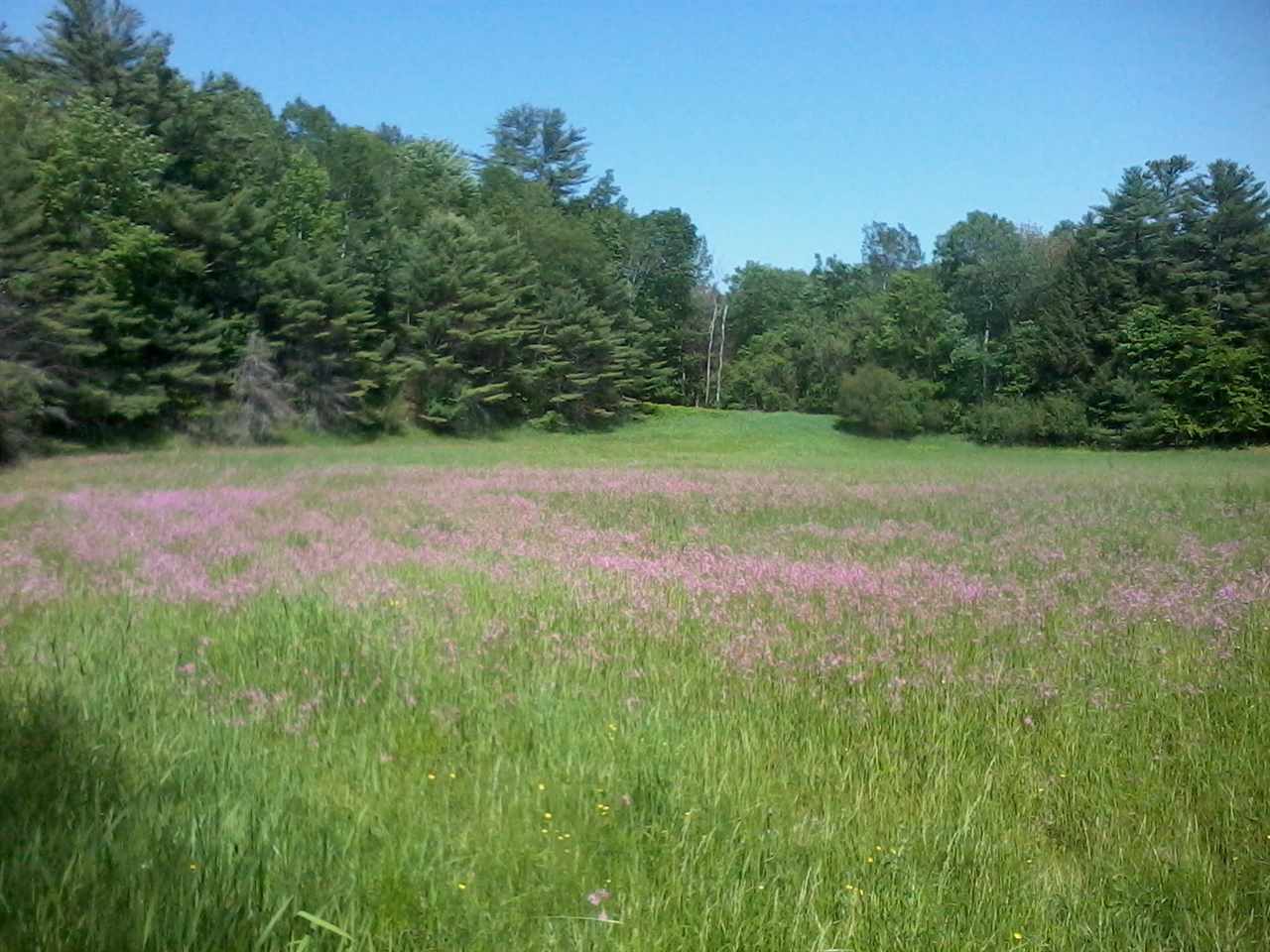 Lebanon NH Land for sale