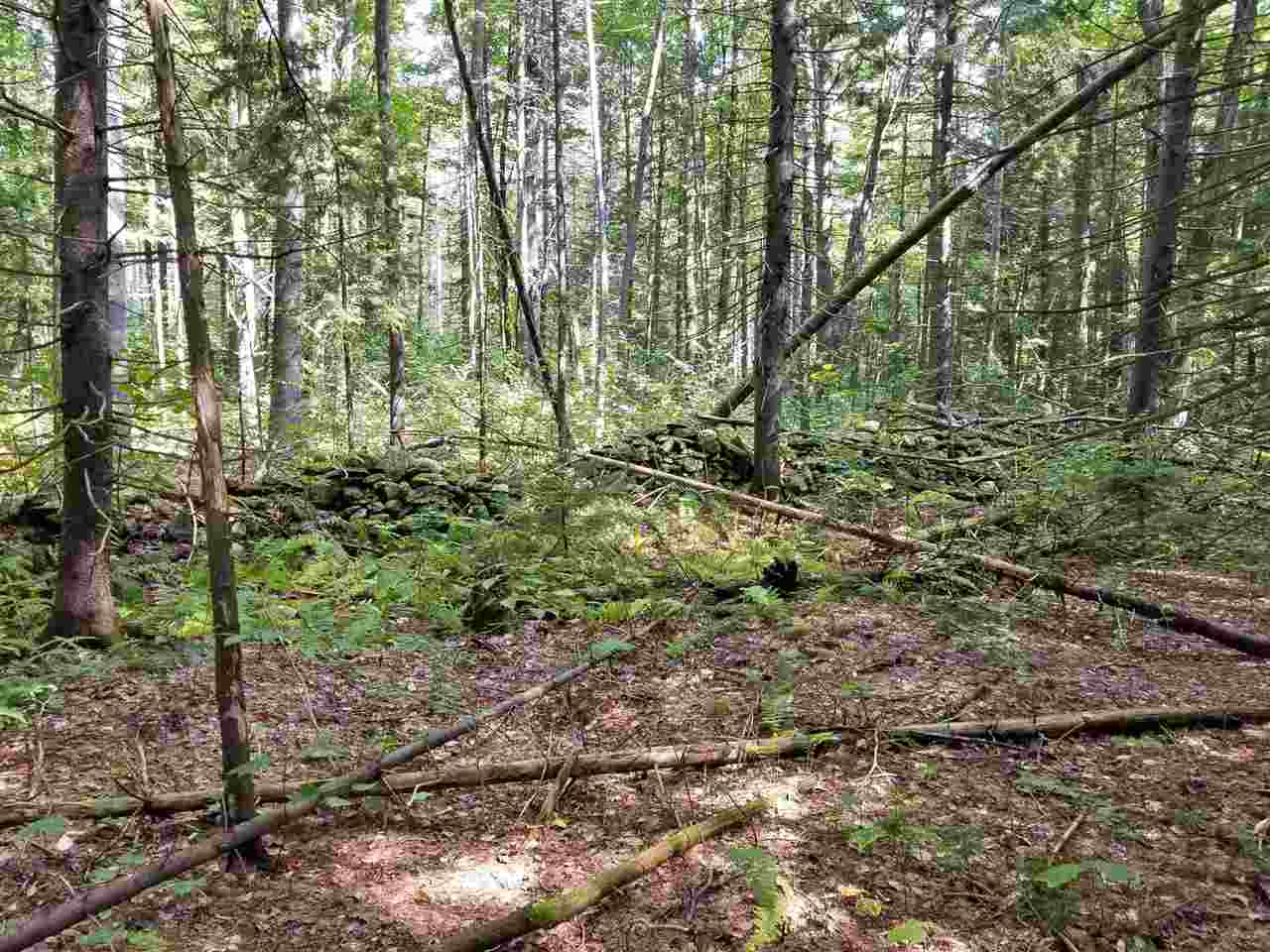 With easy access from Route #9, this very private...