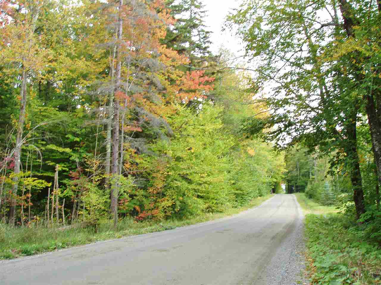 This level, wooded, parcel is on a quiet country...