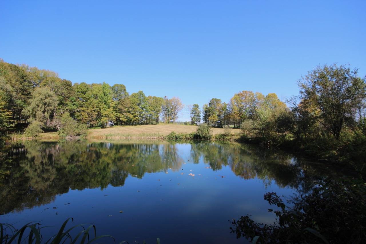 Hartland VT Land for sale