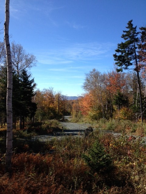 11+ acres of gently sloping land with incredible...