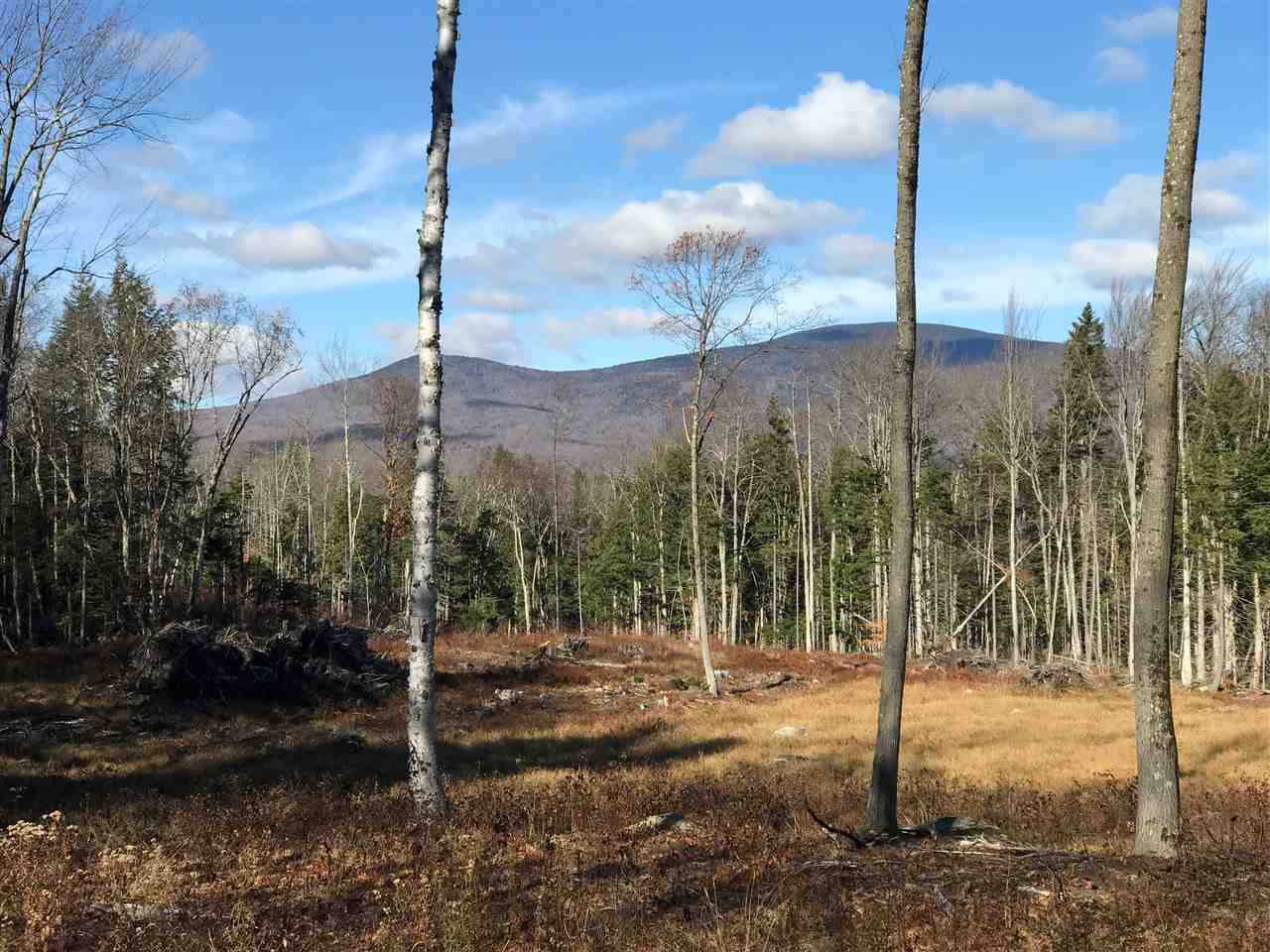 Beautiful 17.2 acre building site located between...