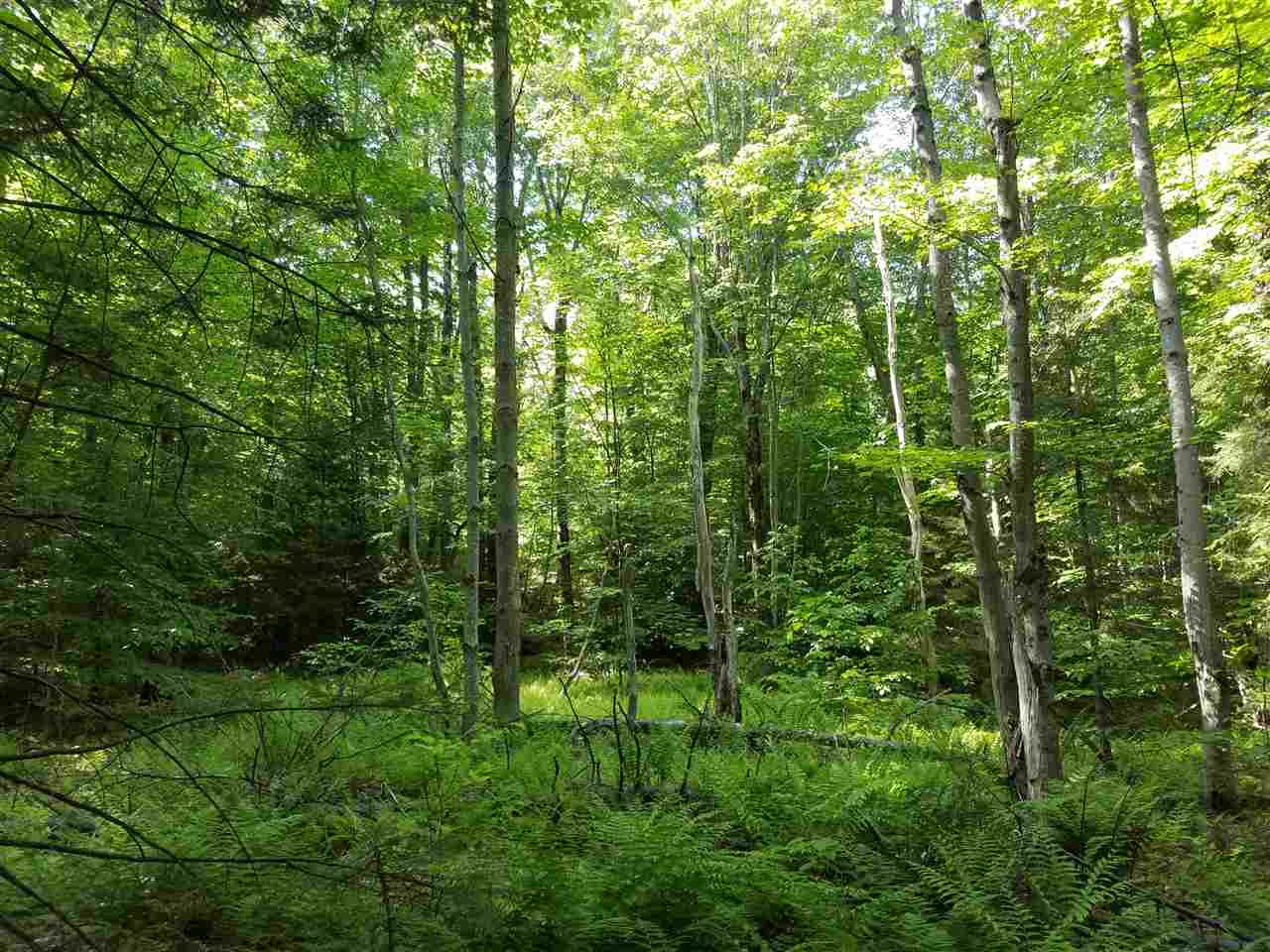 This privately situated thirteen acre lot offers...