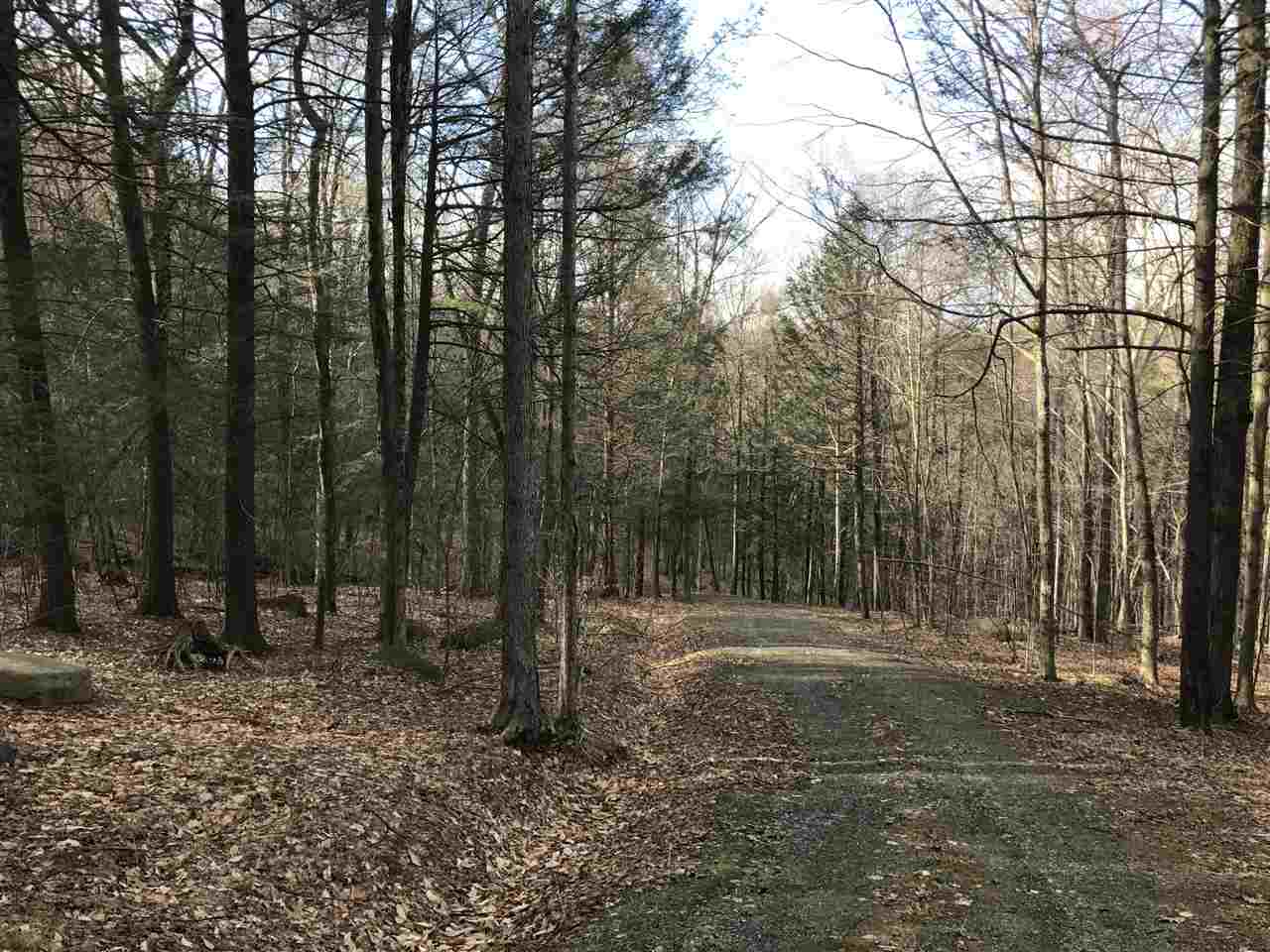 95 plus or minus acre parcel with extensive town...