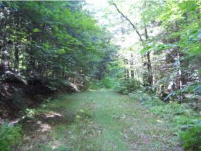 84.7 + or - acre wooded tract with $ubstantial...