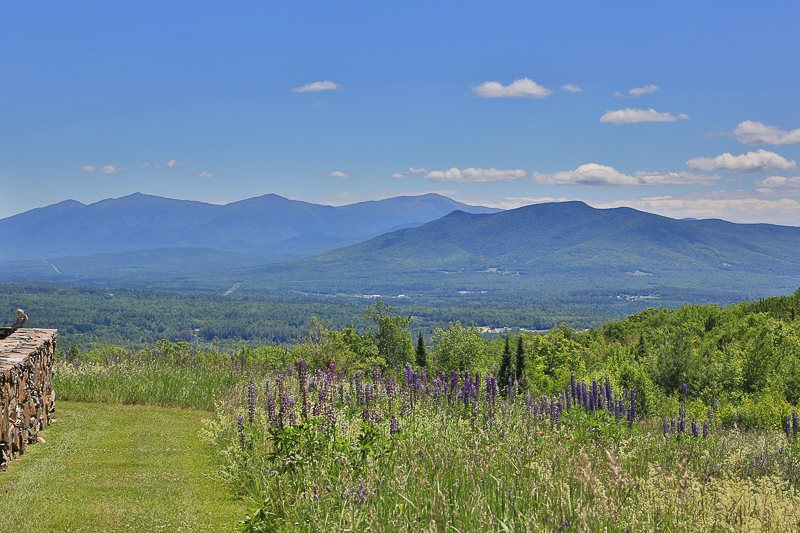 Featured Real Estate Property