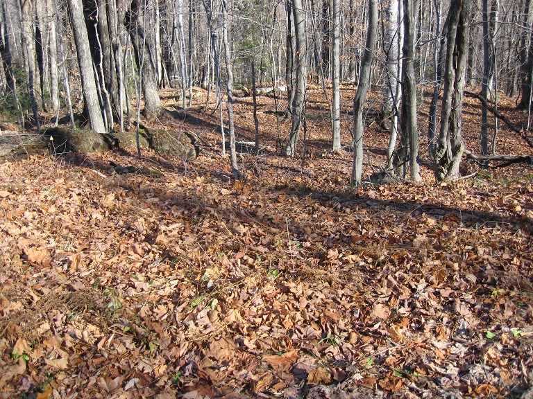 Beautiful 1 acre building lot located in Timber...