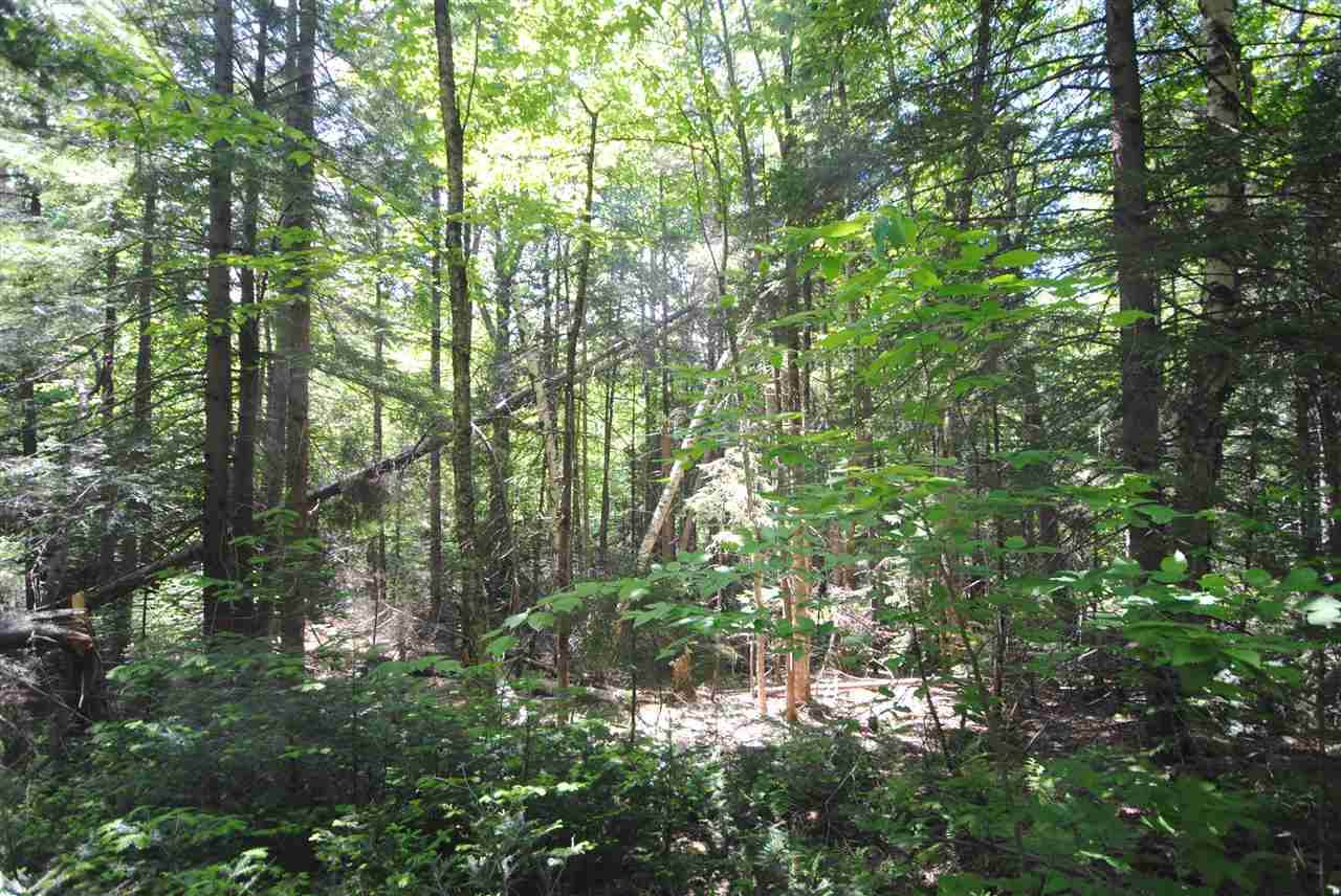 Wooded lot with 2.3 acres perfect for building in...